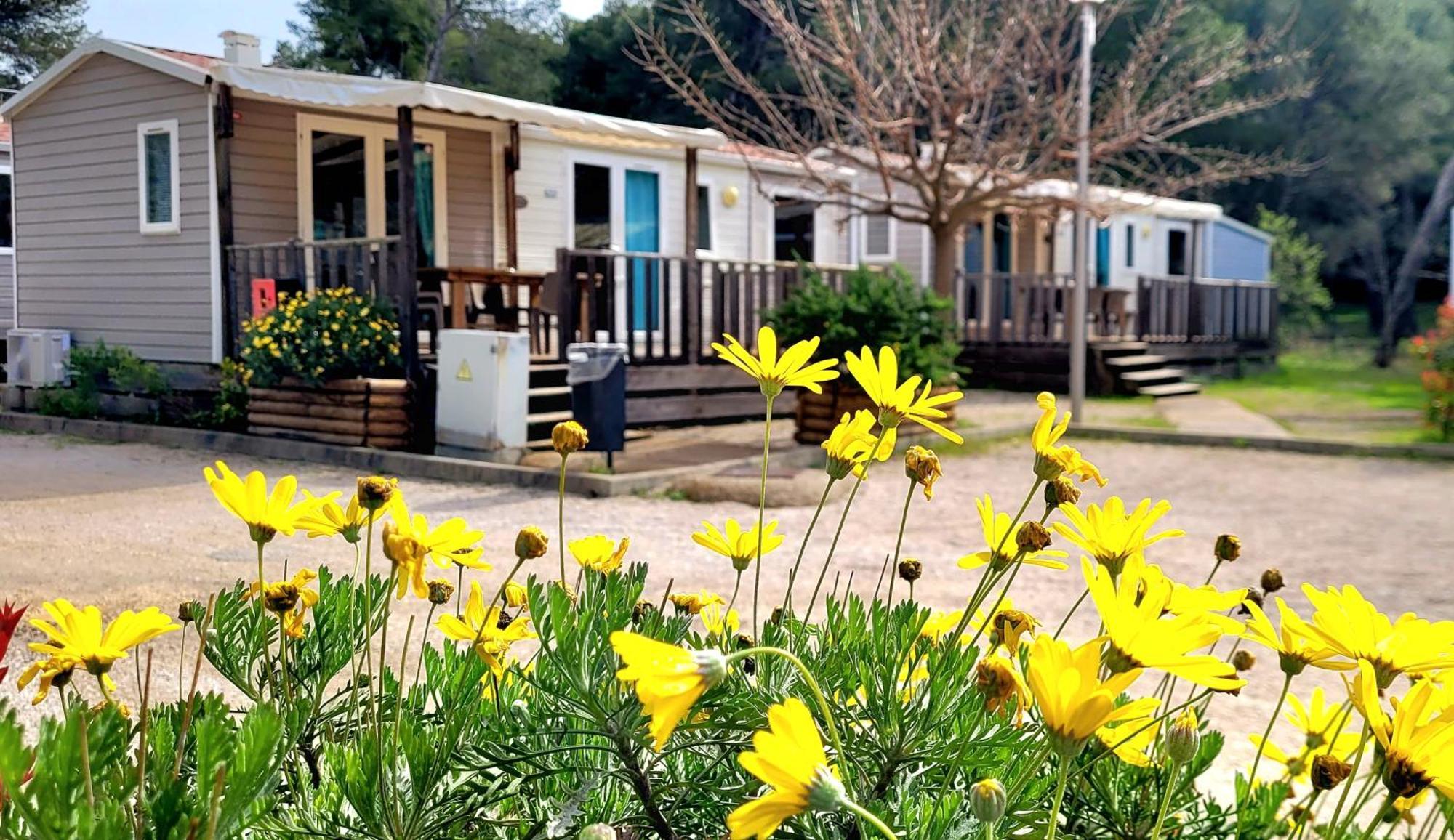 Camping Aux Portes De Cassis Roquefort-la-Bédoule Buitenkant foto